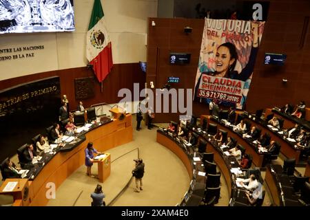 Mexiko-Stadt, Mexiko. Juni 2024. Eine Decke mit dem Bild der designierten Präsidentin Claudia Sheinbaum Pardo ist während der Legislativsitzung der Ständigen Kommission des Kongresses der Union zu sehen. Am 6. Juni 2024 in Mexiko-Stadt. (Foto: Luis Barron/Eyepix Group/SIPA USA) Credit: SIPA USA/Alamy Live News Stockfoto