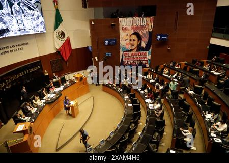 Mexiko-Stadt, Mexiko. Juni 2024. Eine Decke mit dem Bild der designierten Präsidentin Claudia Sheinbaum Pardo ist während der Legislativsitzung der Ständigen Kommission des Kongresses der Union zu sehen. Am 6. Juni 2024 in Mexiko-Stadt. (Foto: Luis Barron/Eyepix Group/SIPA USA) Credit: SIPA USA/Alamy Live News Stockfoto