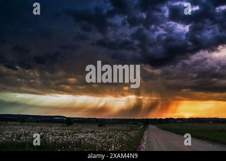 Lichtstrahlen leuchten von einem bewölkten Himmel in ein Feld. Sonnenstrahlen, die durch regnerische Wolken über einem Feld platzen. Litauen Stockfoto