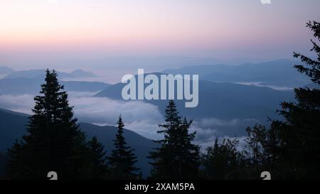 Tal voller Nebel bei Sonnenaufgang umgeben von Bergen und Wäldern, gedreht in der Slowakei, Europa Stockfoto