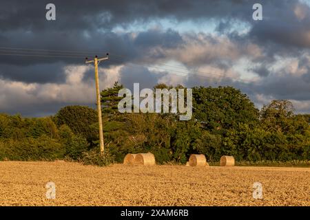Sturmwolken über einem Getreidefeld in Sussex, mit Strohballen auf dem Feld Stockfoto