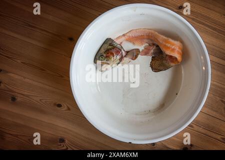 Kadaver einer Lachsforelle nach dem Filetieren mit Kopf, Knochen und Schwanz in einer weißen Schüssel auf einem Holztisch, keine Abfälle, sondern eine leckere Fischsauce oder Suppe zubereiten Stockfoto