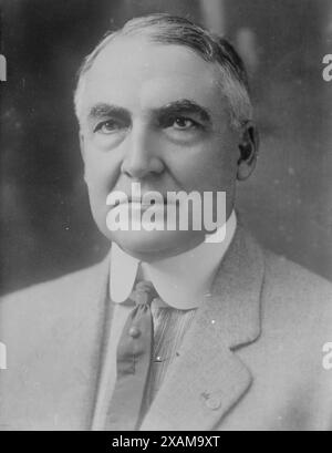 W.G. Harding, 1916. Zeigt Warren Gamaliel Harding (1865–1923), Präsident der Vereinigten Staaten, als er US-Senator war. Stockfoto