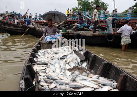 7. Juni 2024, Cox's Bazar, Chittagong, Bangladesch: Fischer entladen verschiedene Arten von Fischen von Booten in der Fischerei Ghat, Cox's Bazar, Bangladesch. Die Boote fahren alle Mitternacht aufs Meer, um Fische zu fangen. Am Morgen ist das Gheat voller Aktivität, gefüllt mit dem frischen Transport des Tages, bereit für die Verteilung. Fishery Ghat, der größte Fischmarkt auf dem Basar von cox, ist einer der führenden „Hilsa“-Knotenpunkte des Landes. Für Fischer, Verkäufer und fischbezogene Existenzgrundlagen ist Fishery Ghat ein Zentrum des Glücks und der Hoffnung. Wenn hier reichlich Vorräte zur Schau gestellt werden, strahlt das Glück aus den Gesichtern der Volksgruppe Stockfoto