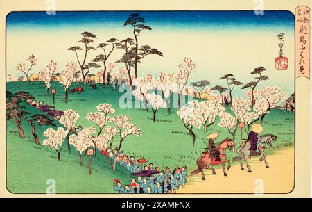 Asukayama Hanami (Kirschblütenbeobachtung in Asukayama). Aus der Serie Koto meisho (berühmte Ansichten der östlichen Hauptstadt), 1950. Stockfoto