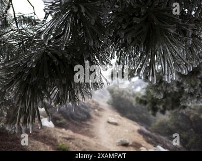 4. Mai 2024, Idyllwild, Kalifornien, USA: Gefrorener Regensturm im Frühling bringt Eis auf den Tahquitz Peak in den San Jacinto Mountains. „Mile-High Idyllwild“ ist ein Bergresort mit einer Höhe von 1600 m neben dem Pacific Crest Trail und wird von zwei großen Felsformationen flankiert, dem Tahquitz Peak und Suicide Rock (auch bekannt als Lily Rock), die in südkalifornischen Klettern berühmt sind. Auch bekannt als „The Hill“, wurde es im Laufe der Jahre nur minimal entwickelt und ist nach wie vor ein Zentrum für Wandern, Berg- und Felsklettern, Mountainbiken und Reiten. (Guthaben Im Stockfoto