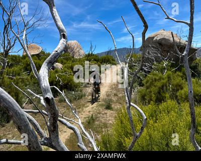 4. Mai 2024, Idyllwild, Kalifornien, USA: Mountainbiker DAVE SEE passiert Felsbrocken auf dem Hurkey Creek Trail in den San Jacinto Mountains. „Mile-High Idyllwild“ ist ein Bergresort mit einer Höhe von 1600 m neben dem Pacific Crest Trail und wird von zwei großen Felsformationen flankiert, dem Tahquitz Peak und Suicide Rock (auch bekannt als Lily Rock), die in südkalifornischen Klettern berühmt sind. Auch bekannt als „The Hill“, wurde es im Laufe der Jahre nur minimal entwickelt und ist nach wie vor ein Zentrum für Wandern, Berg- und Felsklettern, Mountainbiken und Reiten. (Gutschrift I Stockfoto