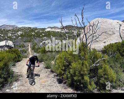 4. Mai 2024, Idyllwild, Kalifornien, USA: Mountainbiker DAVE SEE passiert Felsbrocken auf dem Hurkey Creek Trail in den San Jacinto Mountains. „Mile-High Idyllwild“ ist ein Bergresort mit einer Höhe von 1600 m neben dem Pacific Crest Trail und wird von zwei großen Felsformationen flankiert, dem Tahquitz Peak und Suicide Rock (auch bekannt als Lily Rock), die in südkalifornischen Klettern berühmt sind. Auch bekannt als „The Hill“, wurde es im Laufe der Jahre nur minimal entwickelt und ist nach wie vor ein Zentrum für Wandern, Berg- und Felsklettern, Mountainbiken und Reiten. (Gutschrift I Stockfoto