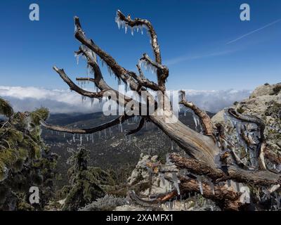 4. Mai 2024, Idyllwild, Kalifornien, USA: Gefrorener Regensturm im Frühling bringt Eis auf den Tahquitz Peak in den San Jacinto Mountains. „Mile-High Idyllwild“ ist ein Bergresort mit einer Höhe von 1600 m neben dem Pacific Crest Trail und wird von zwei großen Felsformationen flankiert, dem Tahquitz Peak und Suicide Rock (auch bekannt als Lily Rock), die in südkalifornischen Klettern berühmt sind. Auch bekannt als „The Hill“, wurde es im Laufe der Jahre nur minimal entwickelt und ist nach wie vor ein Zentrum für Wandern, Berg- und Felsklettern, Mountainbiken und Reiten. (Guthaben Im Stockfoto