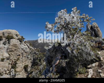 4. Mai 2024, Idyllwild, Kalifornien, USA: Gefrorener Regensturm im Frühling bringt Eis auf den Tahquitz Peak in den San Jacinto Mountains. „Mile-High Idyllwild“ ist ein Bergresort mit einer Höhe von 1600 m neben dem Pacific Crest Trail und wird von zwei großen Felsformationen flankiert, dem Tahquitz Peak und Suicide Rock (auch bekannt als Lily Rock), die in südkalifornischen Klettern berühmt sind. Auch bekannt als „The Hill“, wurde es im Laufe der Jahre nur minimal entwickelt und ist nach wie vor ein Zentrum für Wandern, Berg- und Felsklettern, Mountainbiken und Reiten. (Guthaben Im Stockfoto