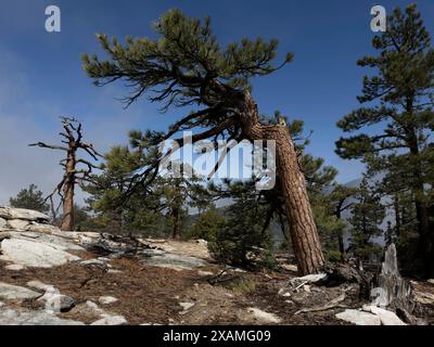 4. Mai 2024, Idyllwild, Kalifornien, USA: Gefrorener Regensturm im Frühling bringt Eis auf den Tahquitz Peak in den San Jacinto Mountains. „Mile-High Idyllwild“ ist ein Bergresort mit einer Höhe von 1600 m neben dem Pacific Crest Trail und wird von zwei großen Felsformationen flankiert, dem Tahquitz Peak und Suicide Rock (auch bekannt als Lily Rock), die in südkalifornischen Klettern berühmt sind. Auch bekannt als „The Hill“, wurde es im Laufe der Jahre nur minimal entwickelt und ist nach wie vor ein Zentrum für Wandern, Berg- und Felsklettern, Mountainbiken und Reiten. (Guthaben Im Stockfoto