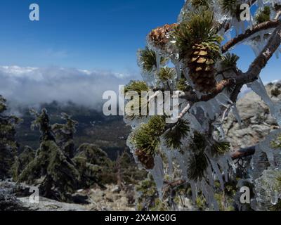 4. Mai 2024, Idyllwild, Kalifornien, USA: Gefrorener Regensturm im Frühling bringt Eis auf den Tahquitz Peak in den San Jacinto Mountains. „Mile-High Idyllwild“ ist ein Bergresort mit einer Höhe von 1600 m neben dem Pacific Crest Trail und wird von zwei großen Felsformationen flankiert, dem Tahquitz Peak und Suicide Rock (auch bekannt als Lily Rock), die in südkalifornischen Klettern berühmt sind. Auch bekannt als „The Hill“, wurde es im Laufe der Jahre nur minimal entwickelt und ist nach wie vor ein Zentrum für Wandern, Berg- und Felsklettern, Mountainbiken und Reiten. (Guthaben Im Stockfoto