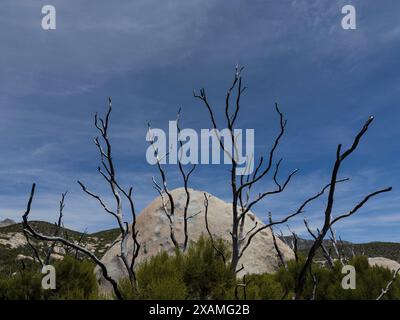 4. Mai 2024, Idyllwild, Kalifornien, USA: Große Felsbrocken am Hurkey Creek Trail in den San Jacinto Mountains. „Mile-High Idyllwild“ ist ein Bergresort mit einer Höhe von 1600 m neben dem Pacific Crest Trail und wird von zwei großen Felsformationen flankiert, dem Tahquitz Peak und Suicide Rock (auch bekannt als Lily Rock), die in südkalifornischen Klettern berühmt sind. Auch bekannt als „The Hill“, wurde es im Laufe der Jahre nur minimal entwickelt und ist nach wie vor ein Zentrum für Wandern, Berg- und Felsklettern, Mountainbiken und Reiten. (Bild: © Ruaridh Stewart/ZUMA P Stockfoto