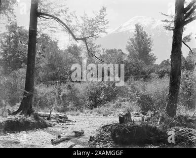 Mount Alexander, West Coast Road, C1880. Stockfoto