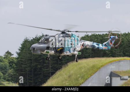 Jagel, Deutschland. Juni 2024. Super Lynx Mk88A von Marinefliegergeschwader 5 „5 Naval Air Wing“ Deutsche Marine „German Navy“, während des NATO-Tiger-Treffens in Schleswig ab, Jagel, Deutschland, 7. Juni 2024 (Foto: Cody Froggatt/News Images) in Jagel, Deutschland am 7. Juni 2024. (Foto: Cody Froggatt/News Images/SIPA USA) Credit: SIPA USA/Alamy Live News Stockfoto