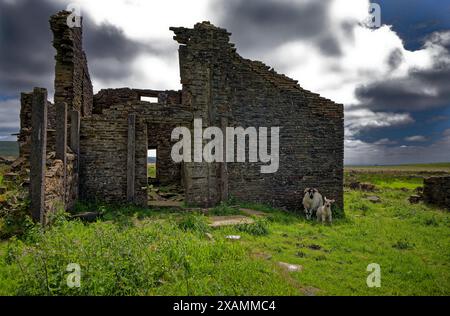 Verfallene Farm in den West Pennines. Stockfoto