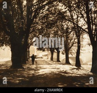 Sommermittagszeit. Stockfoto