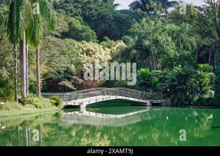 Foto des Instituts Inhotim, Brumadinho, Minas Gerais, Brasilien, Stockfoto