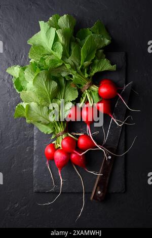 Zwei Haufen frischer roter Bio-Rettich mit Messer auf schwarzem Tisch. Draufsicht Stockfoto