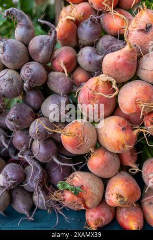 Eine bunte Mischung: Hochwertiges Rote-Beete-Gemüse Stockfoto