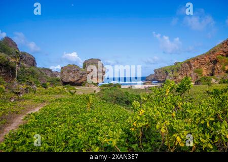 Dieser Strand in Talafofo ist nach der Felsformation benannt, die dem Kopf eines alten Mannes ähnelt, der auf das Meer hinausschaut, Saipan, Nördliche Marianen. Stockfoto