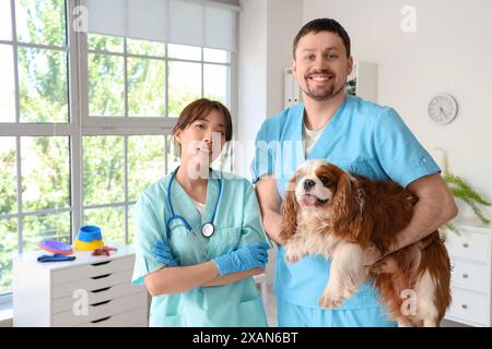 Tierärzte mit niedlichen Hund in Klinik Stockfoto