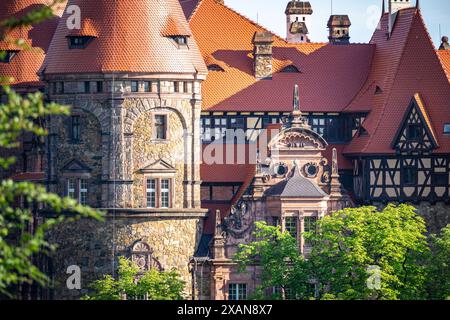 Wałbrzych, polen - 6. Juni 2024: Details der Burg Ksiaz eingebettet in einen üppigen Wald. Die Burg Ksiaz ist eine Burg in Walbrzych, Polen. Stockfoto