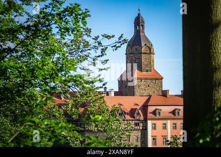 Wałbrzych, polen - 6. Juni 2024: Details der Burg Ksiaz eingebettet in einen üppigen Wald. Die Burg Ksiaz ist eine Burg in Walbrzych, Polen. Stockfoto