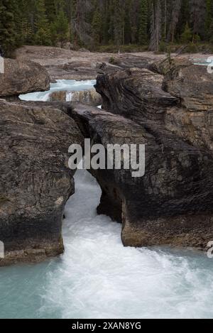 Natural Bridge ist ein Durchbruch des Kicking Horse River durch die Felsen des Yoho National Park in British Columbia in den kanadischen Rocky Mountains. Matrize Stockfoto