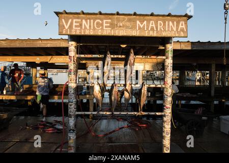 Stolze Angler posieren mit ihrem beeindruckenden Fang am Ende eines erfolgreichen Angeltages in Venice Marina, einem berühmten Angelort in Louisiana. Stockfoto