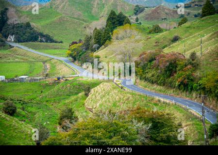 New Zealand State Highway 43 (Forgotten World Highway) Stockfoto