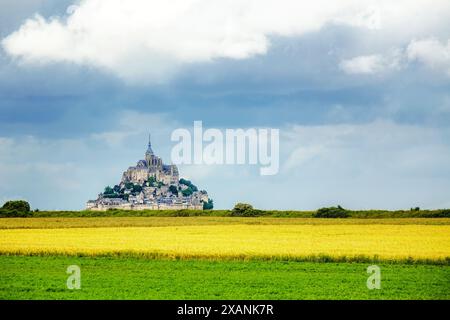 Wunderschöner Blick auf die berühmte historische Gezeiteninsel Le Mont Saint-Michel im Sommer mit gelben Feldern und Wiesen, Normandie, Nordfrankreich Stockfoto