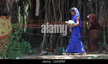 Verheiratete indische Frauen führen Rituale auf einem heiligen Banyan-Baum aus Anlass der MwSt Savitri Puja am 03. Juni 2019 in Jabalpur durch. Stockfoto