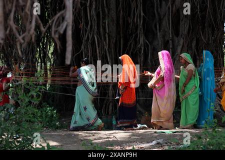 Verheiratete indische Frauen führen Rituale auf einem heiligen Banyan-Baum aus Anlass der MwSt Savitri Puja am 03. Juni 2019 in Jabalpur durch. Stockfoto