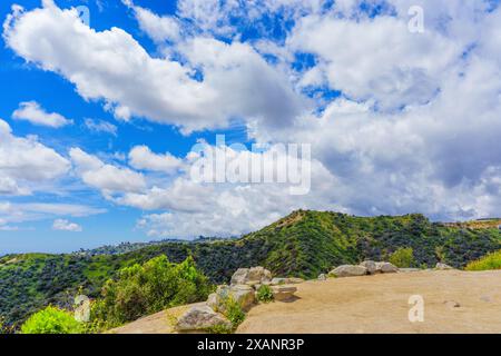 Grüne Hügel im Runyon Canyon Park unter blauem Himmel mit dicken weißen Wolken. Stockfoto