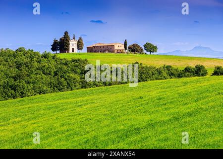 San Quirico d'Orcia, Italien. Toskanische Landschaft mit der Kapelle Madonna di Vitaleta. Stockfoto