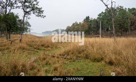 Pench National Park Umgebung, Flüsse, Seen, Grasland und Dschungel Stockfoto