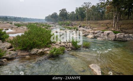 Pench National Park Umgebung, Flüsse, Seen, Grasland und Dschungel Stockfoto