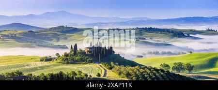 Toskana, Italien. Typische Landschaft des Val d'Orcia. Stockfoto