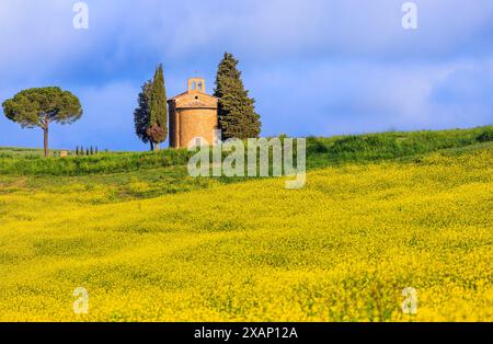 San Quirico d'Orcia, Italien. Toskanische Landschaft bei Sonnenaufgang mit der Kapelle Madonna di Vitaleta. Stockfoto