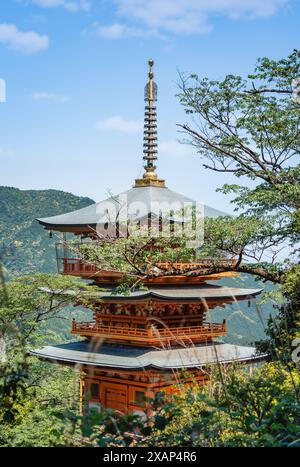 Blick mit dem Seiganto JI Tempel Sanjuno auf die 3-stöckige Pagode in Nachikatsuura, Wakayama, Japan Stockfoto