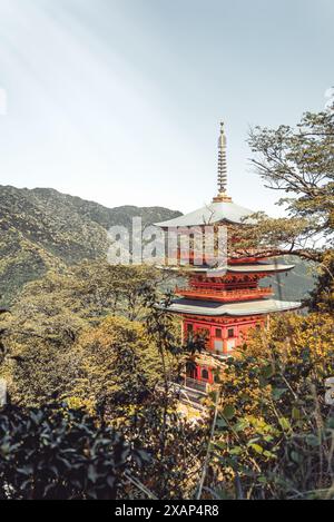 Blick mit dem Seiganto JI Tempel Sanjuno auf die 3-stöckige Pagode in Nachikatsuura, Wakayama, Japan Stockfoto