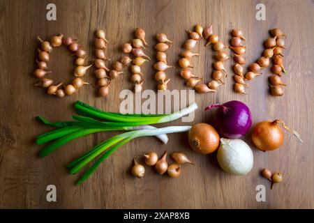 Zwiebeln, das Wort Zwiebeln steht in kleinen Zwiebeln. Draufsicht, Stockfoto