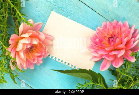 Sommer Hintergrund. Hellrosa Dahlien auf hölzernem blauen Hintergrund, Stück Papier für Text. Schachtel mit einem Geschenk. Muttertag, Frauentag, Frühlingsfest Stockfoto