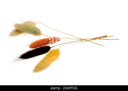 Ein Bündel getrockneter Blumen ist hintereinander angeordnet. Die Blumen haben verschiedene Farben und Größen und sind alle in die gleiche Richtung gerichtet. Das Arrangieren Stockfoto