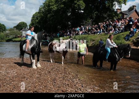 Appleby, England, Großbritannien. Juni 2024. Die Appleby Horse Fair, die jährlich in Cumbria stattfindet, zieht Tausende von Zigeunern, Reisenden und Pferdebegeisterten an. Diese traditionelle Veranstaltung aus dem 18. Jahrhundert ist eine der größten Veranstaltungen dieser Art in Europa. Die Teilnehmer kaufen und verkaufen Pferde, zeigen ihre Fähigkeiten und feiern ihre Kultur mit einer Vielzahl von Aktivitäten und Festlichkeiten. (Kreditbild: © Joao Daniel Pereira/ZUMA Press Wire) NUR REDAKTIONELLE VERWENDUNG! Nicht für kommerzielle ZWECKE! Quelle: ZUMA Press, Inc./Alamy Live News Stockfoto