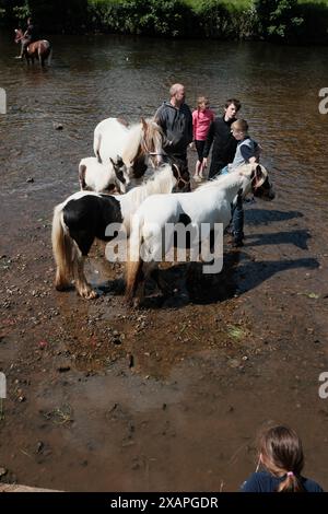 Appleby, England, Großbritannien. Juni 2024. Die Appleby Horse Fair, die jährlich in Cumbria stattfindet, zieht Tausende von Zigeunern, Reisenden und Pferdebegeisterten an. Diese traditionelle Veranstaltung aus dem 18. Jahrhundert ist eine der größten Veranstaltungen dieser Art in Europa. Die Teilnehmer kaufen und verkaufen Pferde, zeigen ihre Fähigkeiten und feiern ihre Kultur mit einer Vielzahl von Aktivitäten und Festlichkeiten. (Kreditbild: © Joao Daniel Pereira/ZUMA Press Wire) NUR REDAKTIONELLE VERWENDUNG! Nicht für kommerzielle ZWECKE! Quelle: ZUMA Press, Inc./Alamy Live News Stockfoto