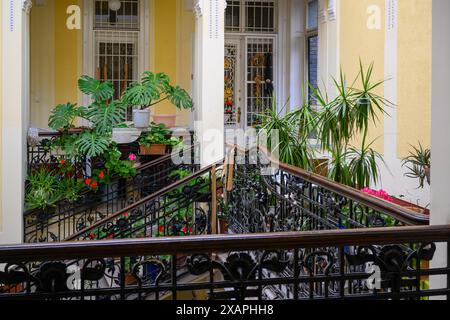 Das Gemeindegebiet eines historischen Wohnhauses in Budapest, Ungarn Stockfoto