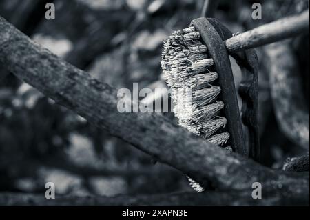 Kunstbild in Schwarzweiß Stockfoto