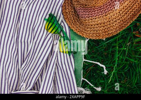 Strohhut im Boho-Stil und eine grüne Sonnenbrille in Herzform liegen auf einem grünen Rasen mit blühender Wiese. Sommerreise, Reise. Sommer Natur. Stockfoto